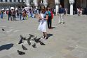 bDSC_0042_Een van de grote toeristische attracties op het San Marcoplein zijn de duiven